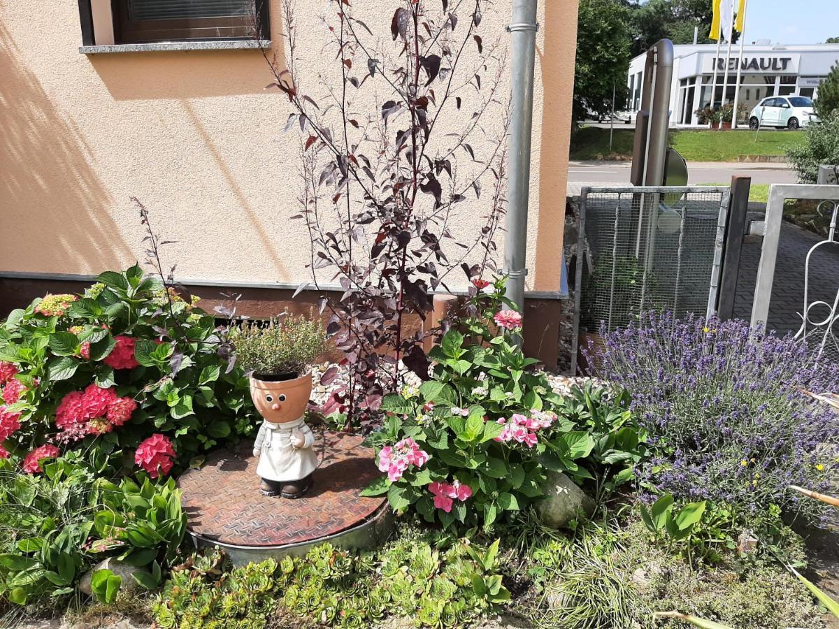 Ferienwohnung Am Park Pegau Extérieur photo